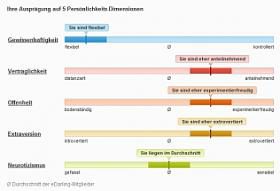 eDarling Persönlichkeitstest Profil